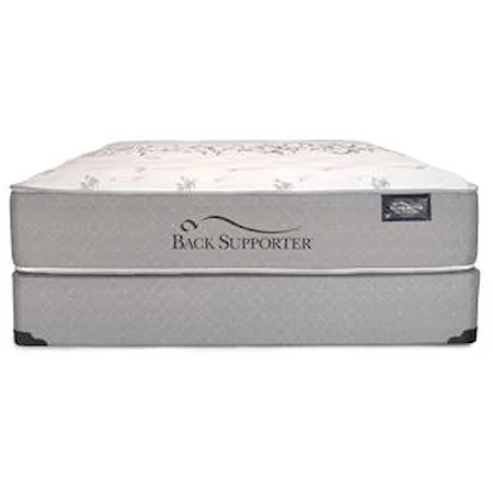 Queen Plush Mattress and Eco-Wood Base